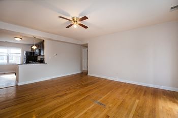 Ceiling fan